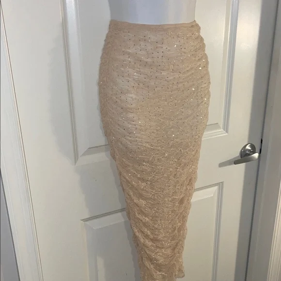 Zara Beige Sequin Skirt - Picture 3 of 3